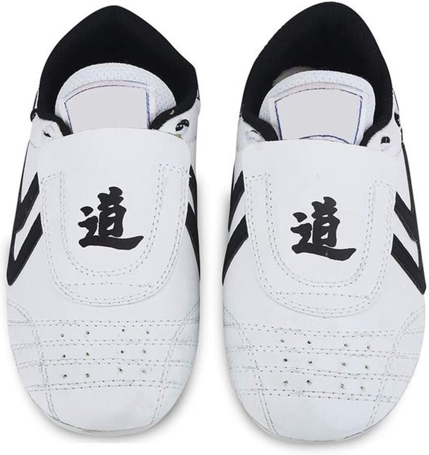 Allecto Taekwondo Schoenen Martial Arts Sneakers Lichtgewicht