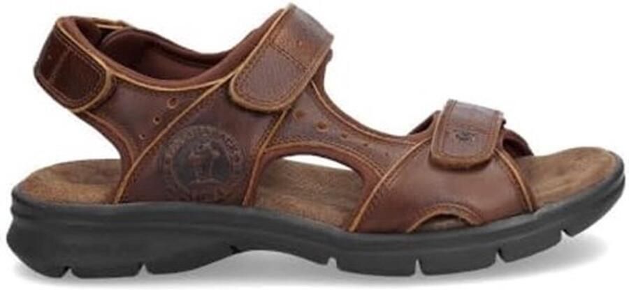 Bruine leren sandalen voor heren
