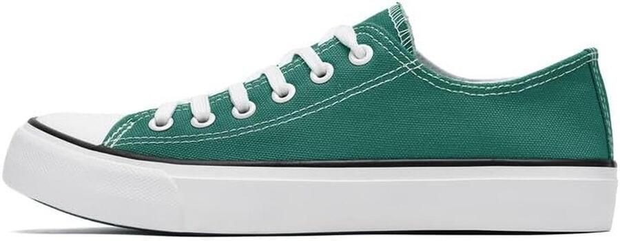 Canvas Schoenen Laag Model Vetersluiting Unisex Sneakers Sportief en Casual