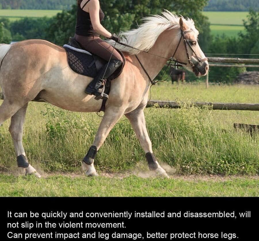 Cocopl Stuks Paard Been Protector Elastische Paard Front Hind Been Laarzen Paardrijden Pees Fetlock Laarzen Pony Schokabsorberende Show Wedstrijd Been Bescherming Geschikt voor Paard Zwart