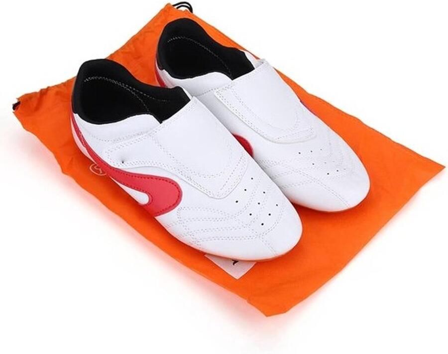 Comfortabele en lichte schoenen voor Kung-Fu en Taekwondo volwassenen