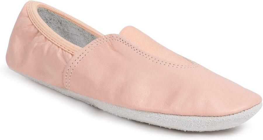 Comfortabele Gymnastiekschoenen Dansschoenen Turnpantoffels met Suède Rubber Zool