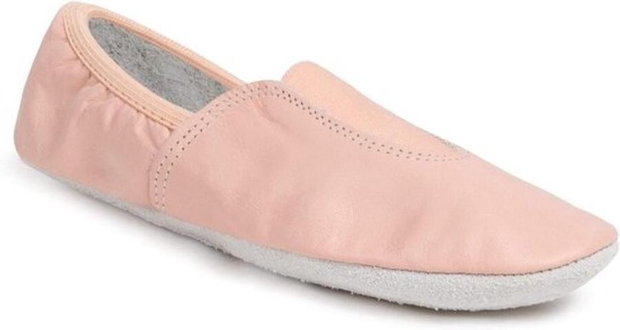 Comfortabele Gymnastiekschoenen Dansschoenen Turnpantoffels met Suède Rubber Zool