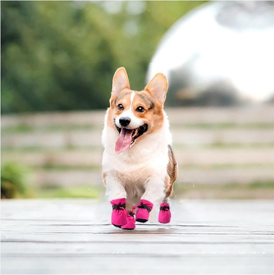 Comfortabele hondenlaarzen voor pootbescherming antislip hondenschoenen met reflecterende banden voor kleine honden (6:L *W Roze) - Foto 2