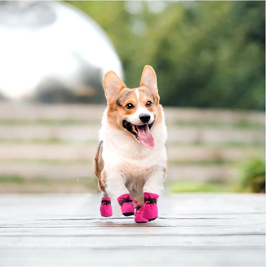 Comfortabele hondenlaarzen voor pootbescherming antislip hondenschoenen met reflecterende banden voor kleine honden (6:L *W Roze)