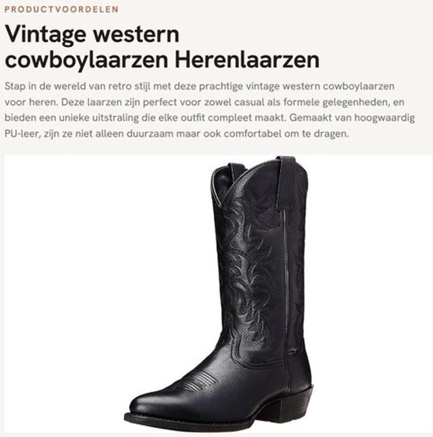 Cowboylaarzen met geborduurde details Retro design Hoogwaardig PU-leer Slip-On Gummisohle Comfortabel en zacht Westernlaarzen