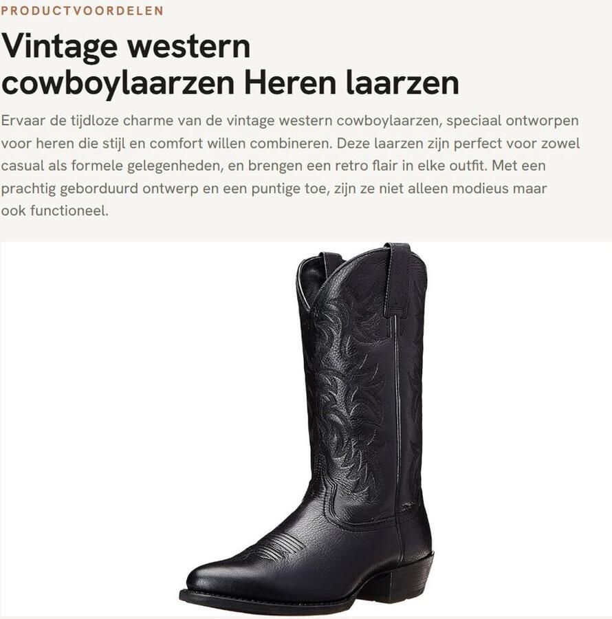 Dailygoods- Cowboylaarzen Hoogwaardig PU-leer Vintage geborduurd Puntschoen Slip-On Gummisohle Retro design Westernlaarzen