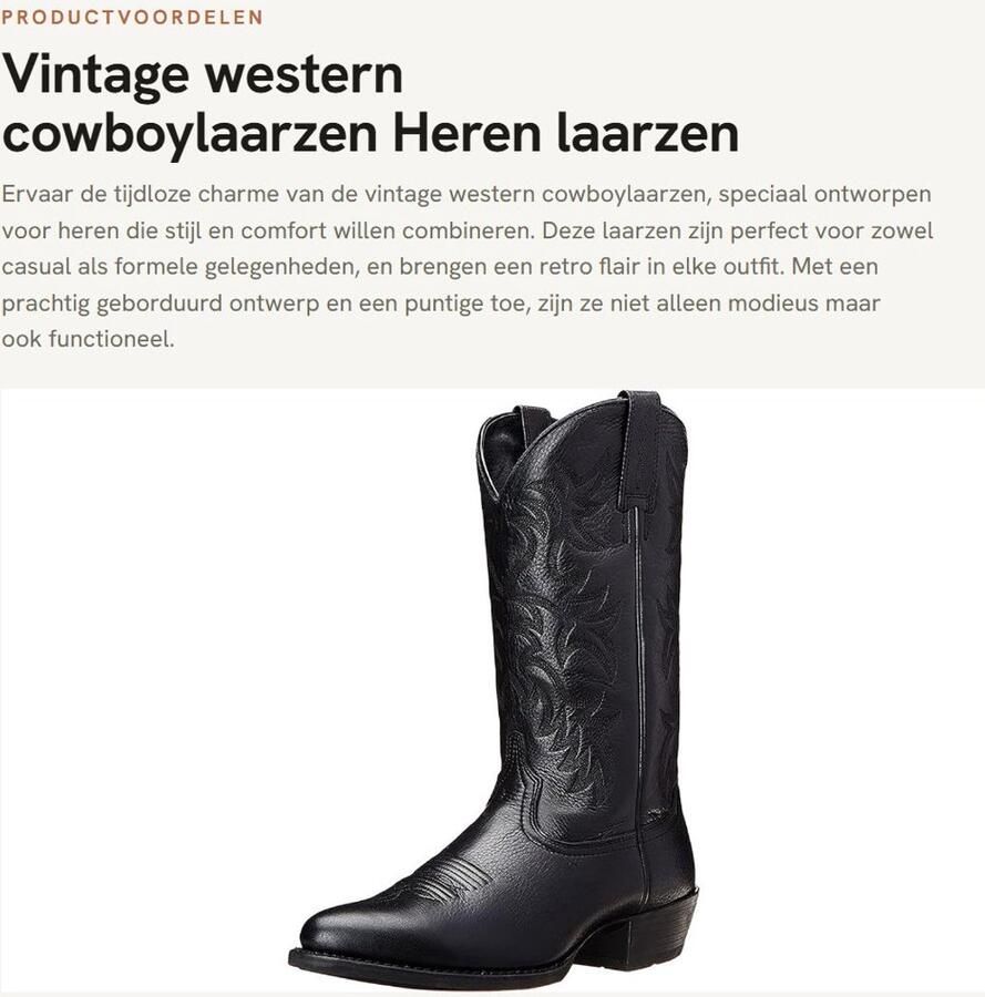 Dailygoods- Cowboylaarzen Hoogwaardig PU-leer Vintage geborduurd Puntschoen Slip-On Gummisohle Retro design Westernlaarzen