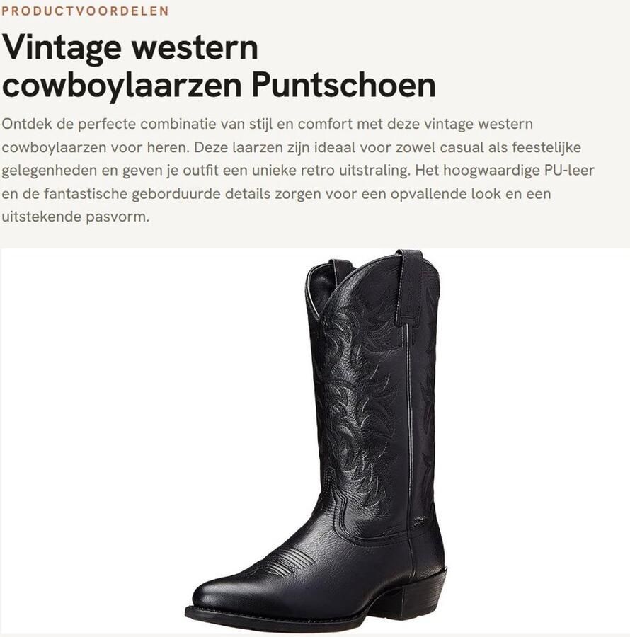 Dailygoods- Cowboylaarzen met geborduurde details Retro design Hoogwaardig PU-leer Slip-On Gummisohle Comfortabel en zacht Westernlaarzen
