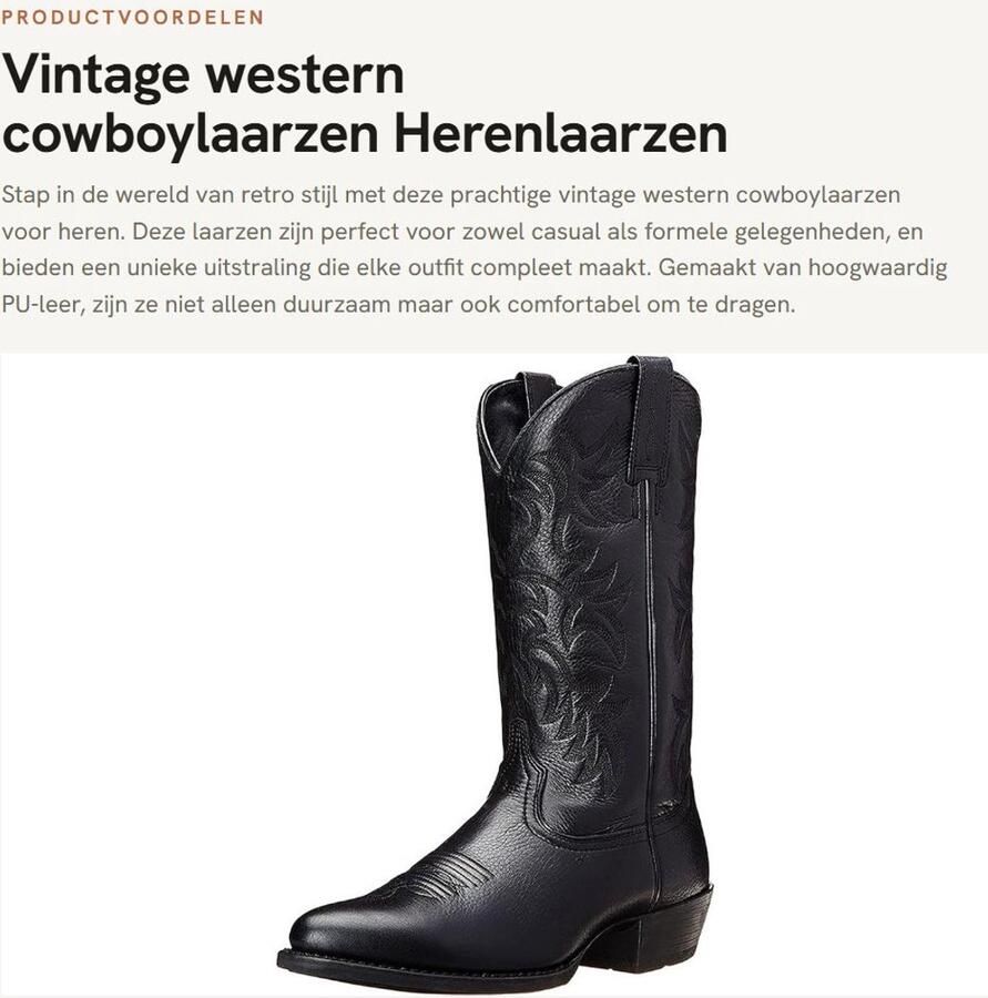 Dailygoods- Cowboylaarzen met geborduurde details Retro design Hoogwaardig PU-leer Slip-On Gummisohle Comfortabel en zacht Westernlaarzen