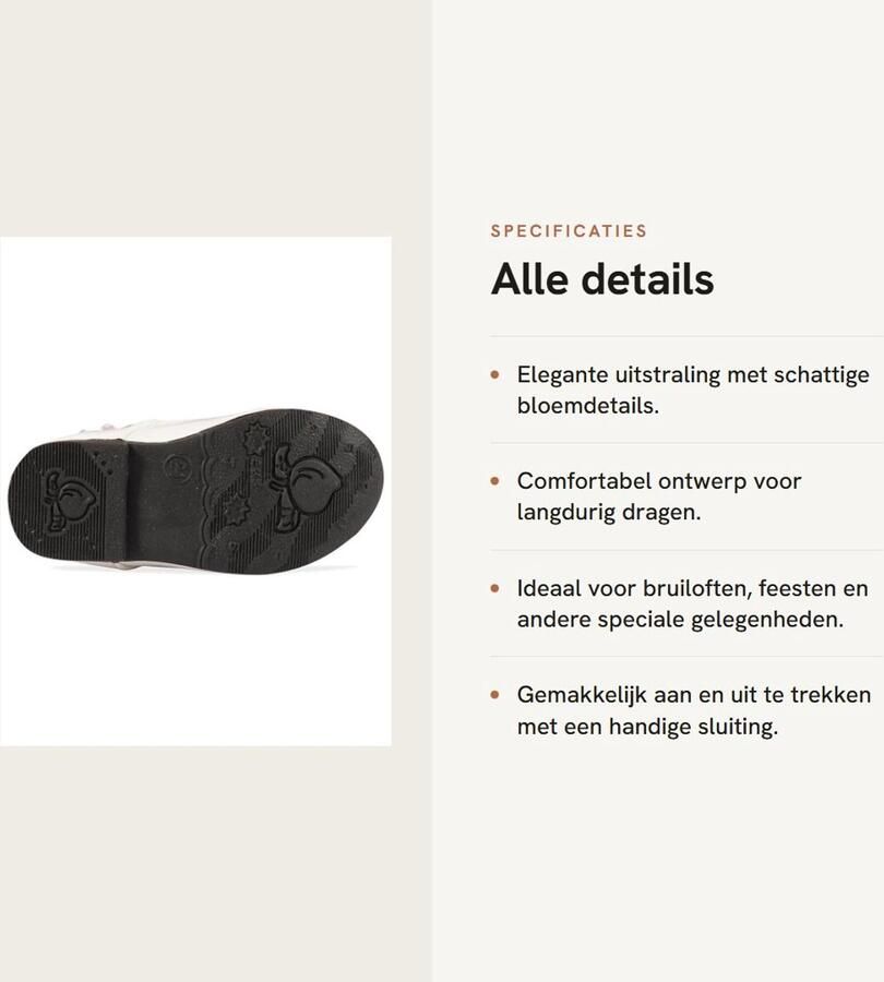 Dailygoods- Prinses Jurk Schattig Bloem Motief Meisjes Schoenen Mary Jane Flats Bruiloft Feest Bloemenmeisje