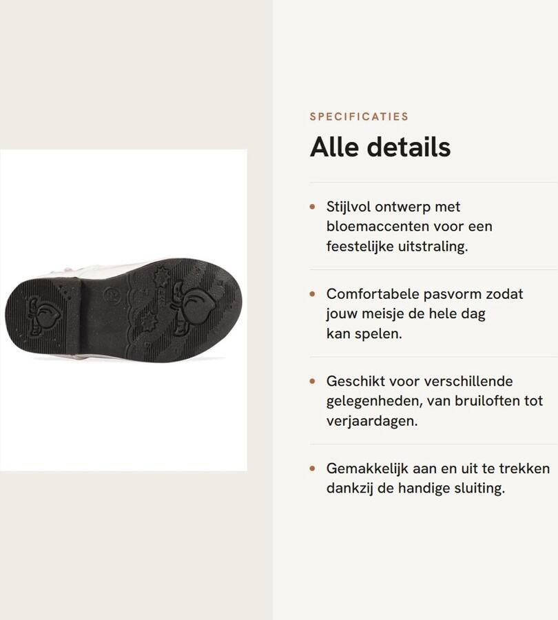 Dailygoods- Prinses Jurk Schattig Meisjes Schoenen Mary Jane Flats Bloemenmeisje Bruiloft Feestoutfit