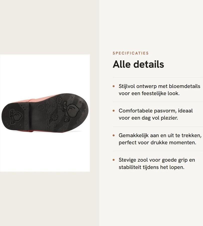 Dailygoods- Prinses Jurk Schattige Bloem Mary Jane Flats Meisjes Schoenen Bruiloft Feest