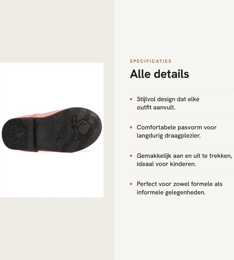 Dailygoods- Prinses Jurk Schattige Bloem Mary Jane Flats Meisjes Schoenen Bruiloft Feest Perfect voor Bloemenmeisje