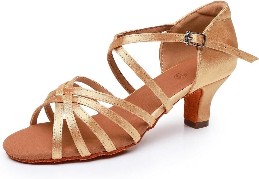 Dames Dansschoenen Latijns-Amerikaans Salsa Tango Rumba Cha met Stabiele Hak (5