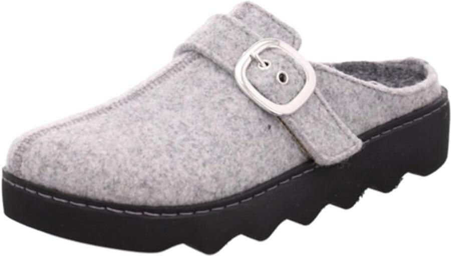 Dames Pantoffels Vilten Clogs Comfortabel Huis Uitneembare Zool Platina Grijs