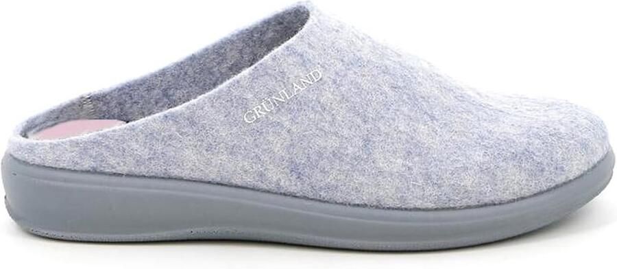 Dames Slipper Sandaal Plateauzool Comfortabel Feltros