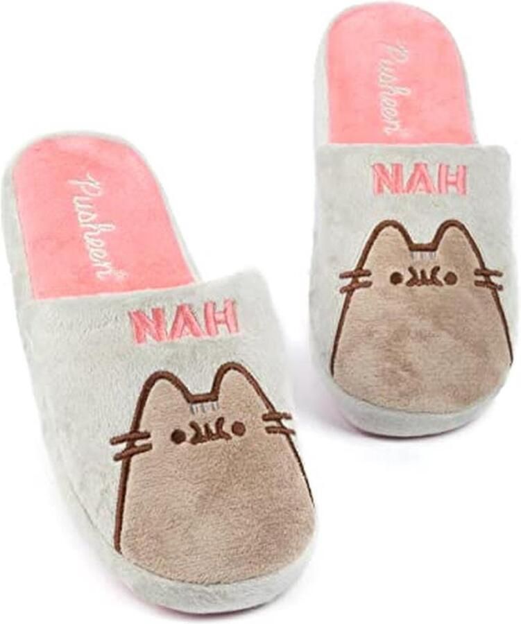 Dames Slippers voor Volwassenen en Tieners Pluche Huisschoenen voor Comfortabel Gebruik (41-42 EU)