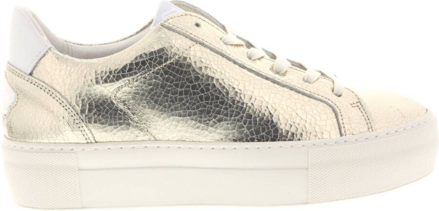Floris van Floris van Bommel van Floris van Bommel Sneakers Dames Lage sneakers Damesschoenen Leer SFW-10059 Goud - Foto 6