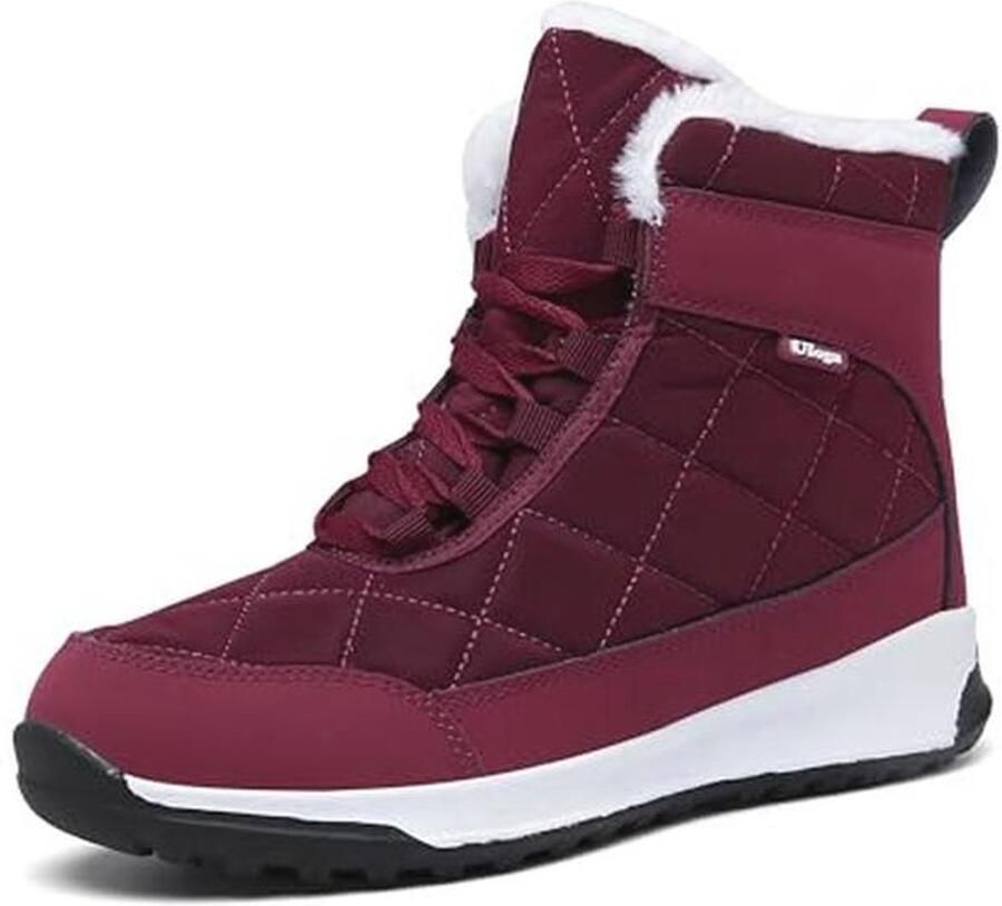 Dames Winterboots Warm Gevoerd en Anti-Slip voor Buiten en Wandelen