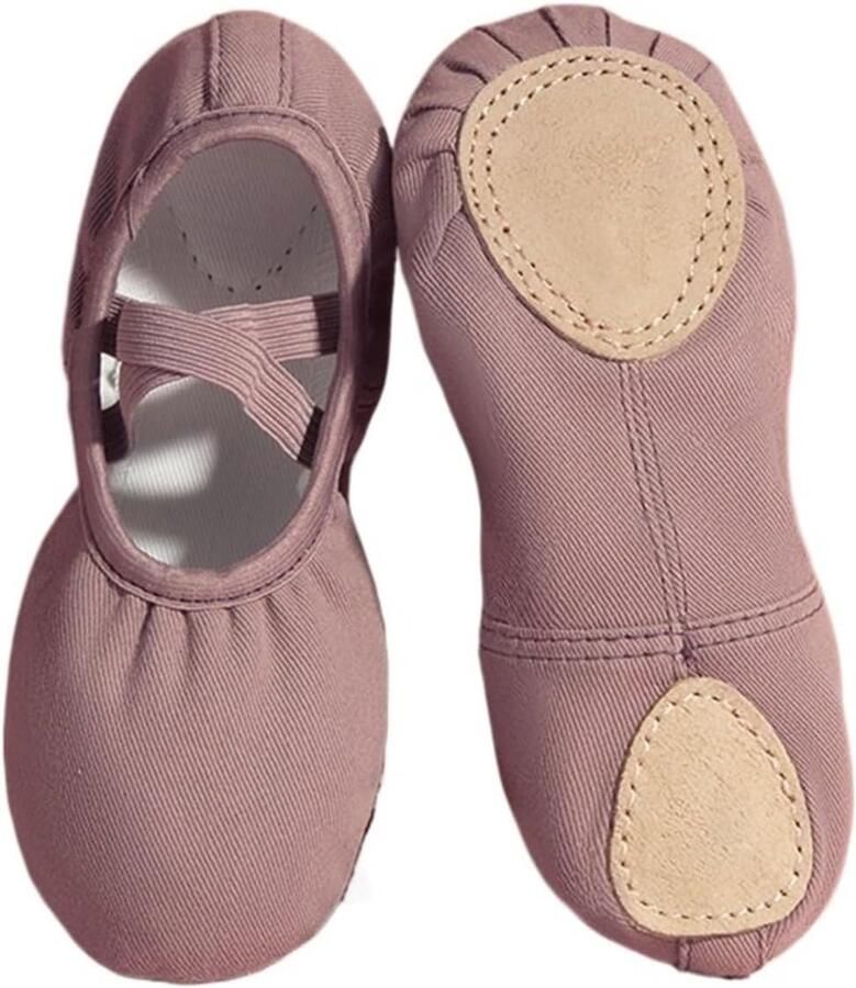 Dansschoenen Canvas Balletschoenen Kinderen Professionele Dans Training Zachte Flexibele Zool Blauw Groen Paars