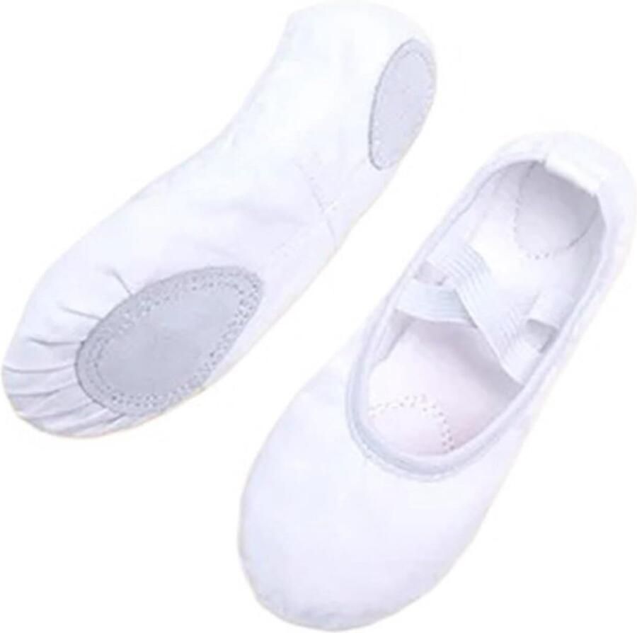 Dansschoenen Meisjes Dames Balletschoenen Training Dansen Sport Zachte Linnen Zool Zie Maattabel Meerdere Kleuren