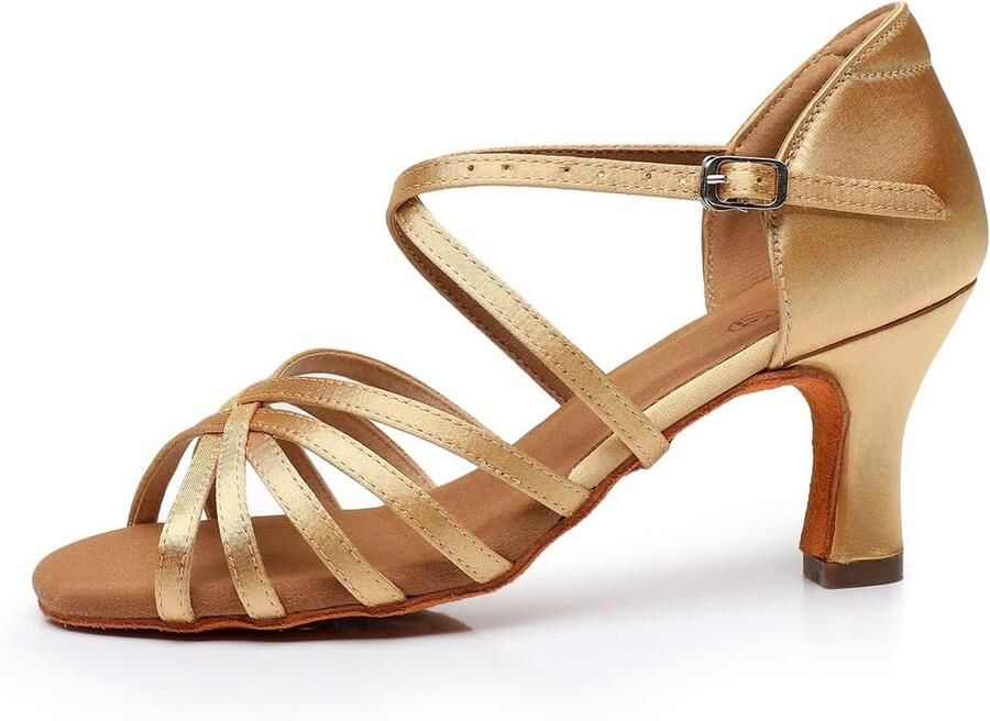 Dansschoenen voor dames dansschoenen geschikt voor latin salsa tango rumba cha 5 hak 2 5-6 inch