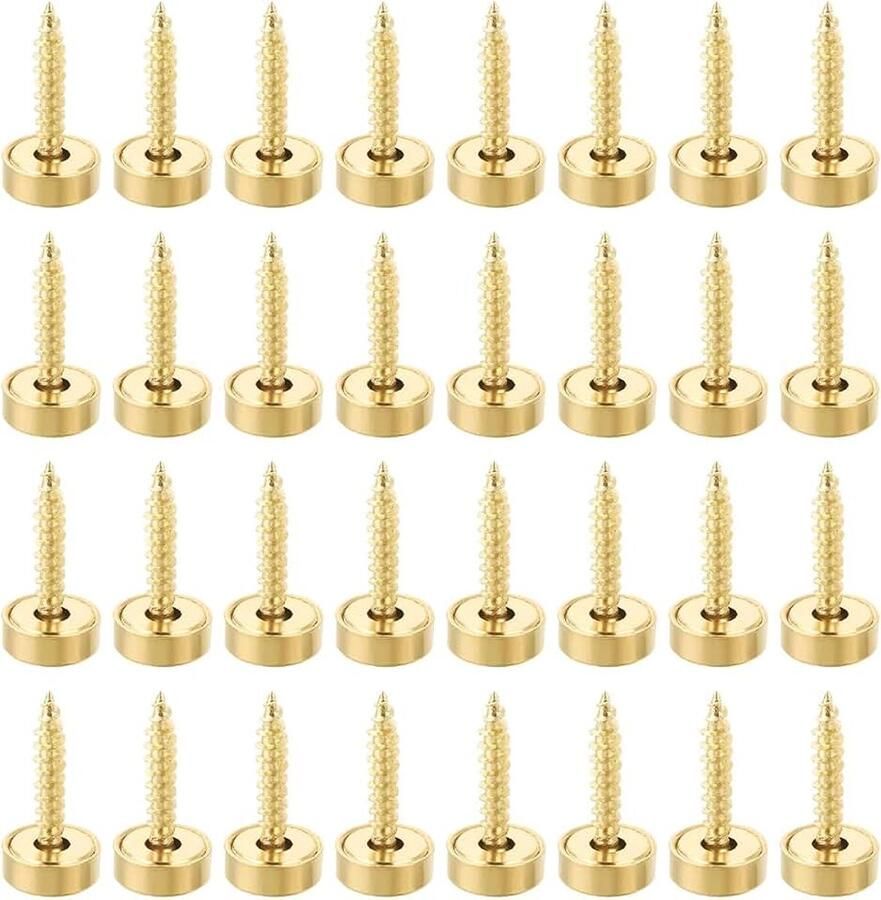 Decoratieve schroeven spiegel geborsteld deksel nagels zelftappende schroeven geschikt voor spiegels reclame nagels decoratieve schilderij nagels meubelbevestigingen (32 stuks)