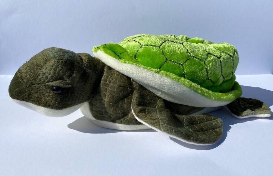 Merkloos Sans marque dieren pantoffels Schildpad
