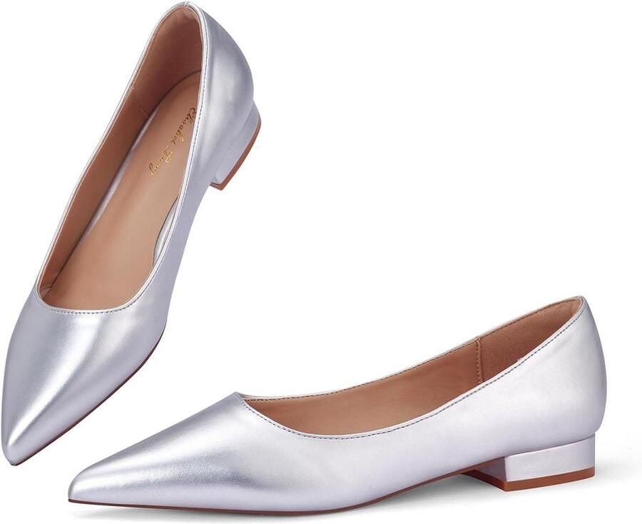 Elegante Instappers met Puntige Neus voor Dames Comfortabele Ballerina's