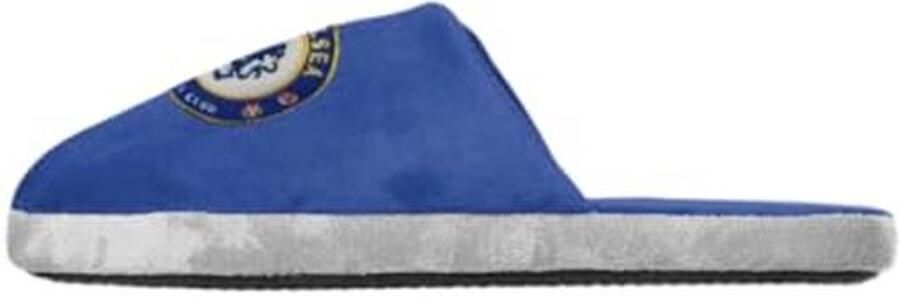 Engelse Premier League Split Kleur Slippers