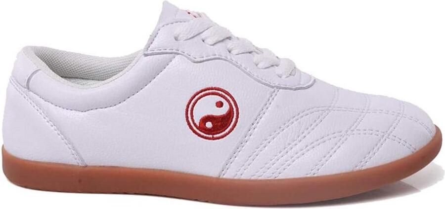 Flexibele Vechtsportschoenen met Oxford Zool voor Tai Chi Kung Fu en Qi Gong