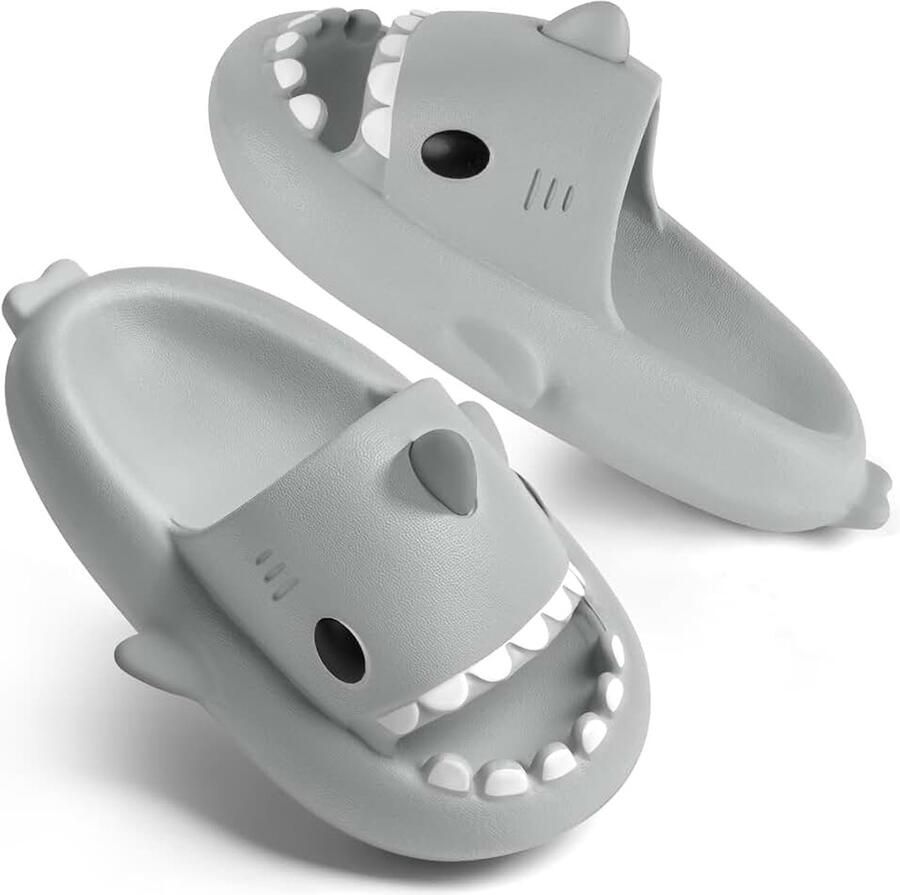 Flintroni uniseks-volwassene Slipper