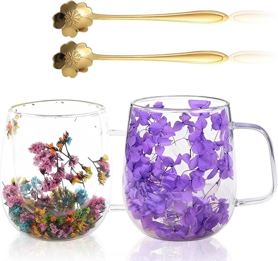 Glazen koffiekopjes met gedroogde bloemen set van 2 350 ml dubbelwandige beker met lepel dubbelwandige koffiemok transparante dubbelwandige bekers voor thee bier ijskoffie melk