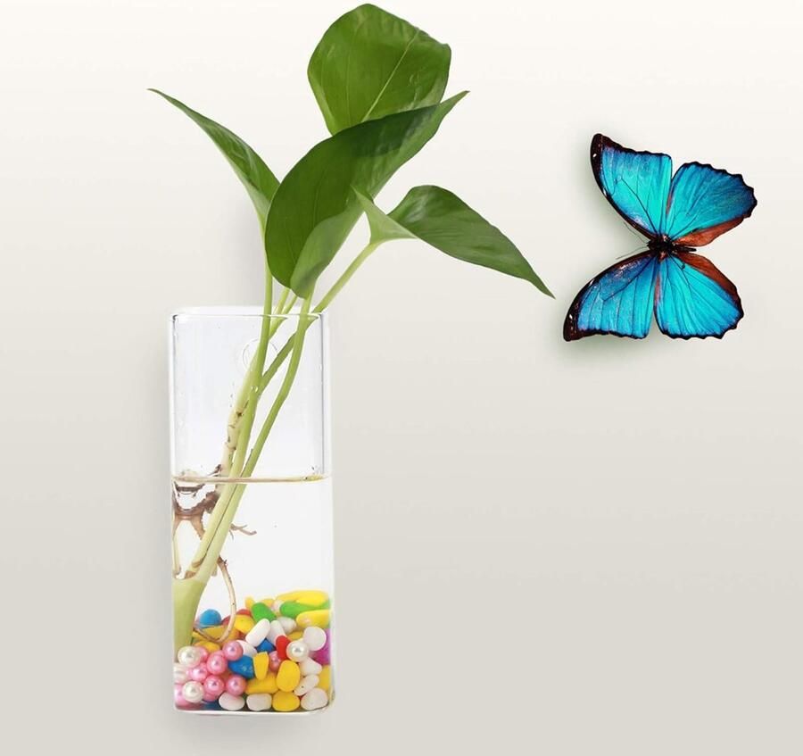 Glazen Vaas Hydrocultuur Muisvorm Vaso Matrashoes met Ritssluiting Plantcontainer Muurhangende Glazen Plantenbak voor Het Vermeerderen van Hydrocultuurplanten Binnen