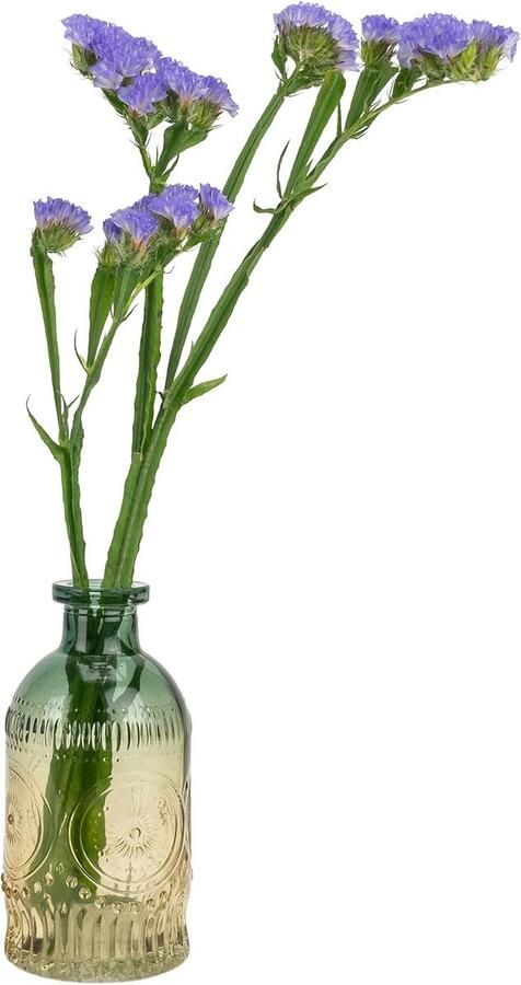 Glazen vaas Vaasje Vaas glas vaasjes 6 x (dxh) Geel Blauw