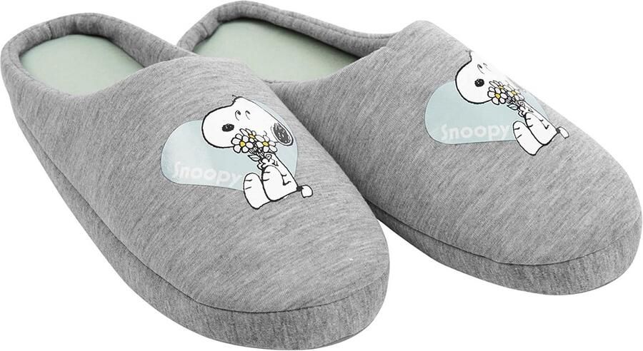 Hartvormige Pantoffels voor Dames Grijze Instappers voor Comfortabele Thuiservaring