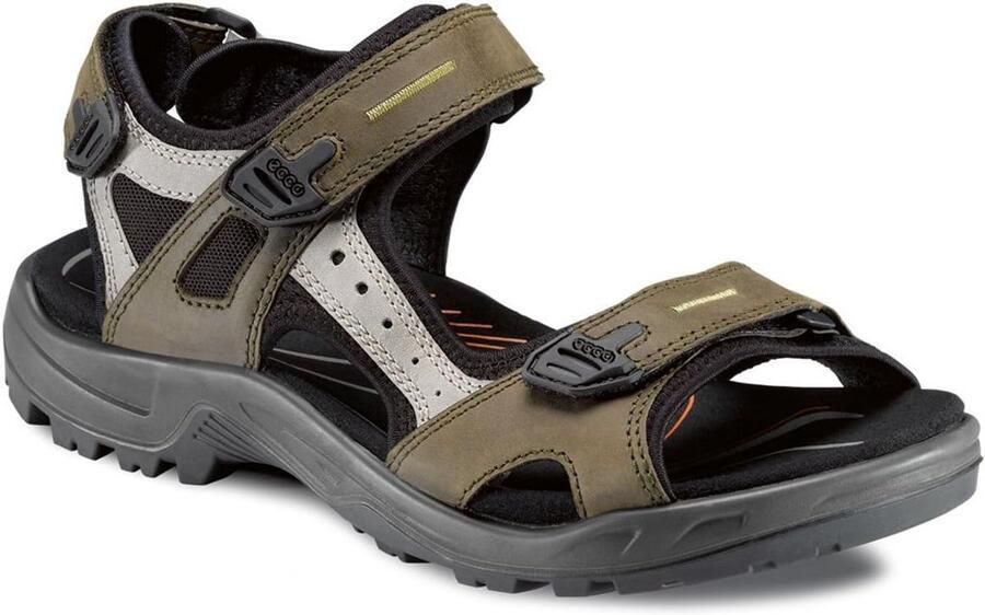 Heren Sportsandalen en Outdoorsandalen voor Trekking en Wandelen