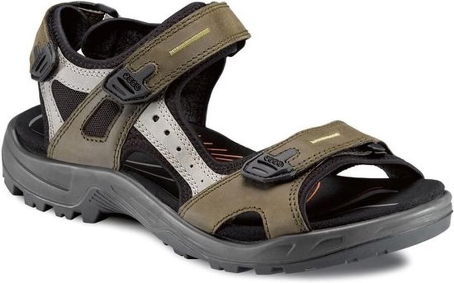 Heren Sportsandalen en Outdoorsandalen voor Trekking en Wandelen