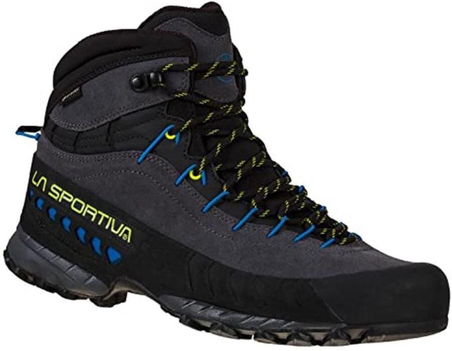 Heren Wandelschoenen Mid GTX Carbon Flame