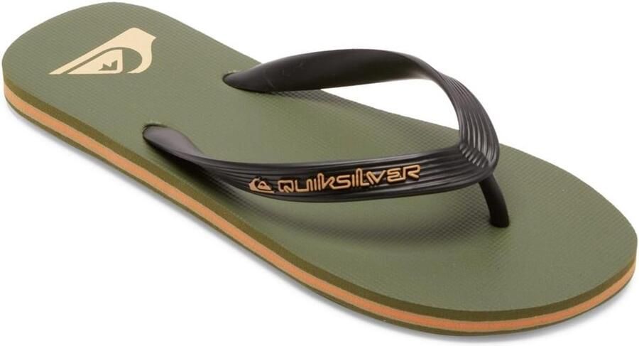 Herensandalen Strandschoenen Slippers Zomerse Activiteiten Antislip Voetbed Grip Blauw