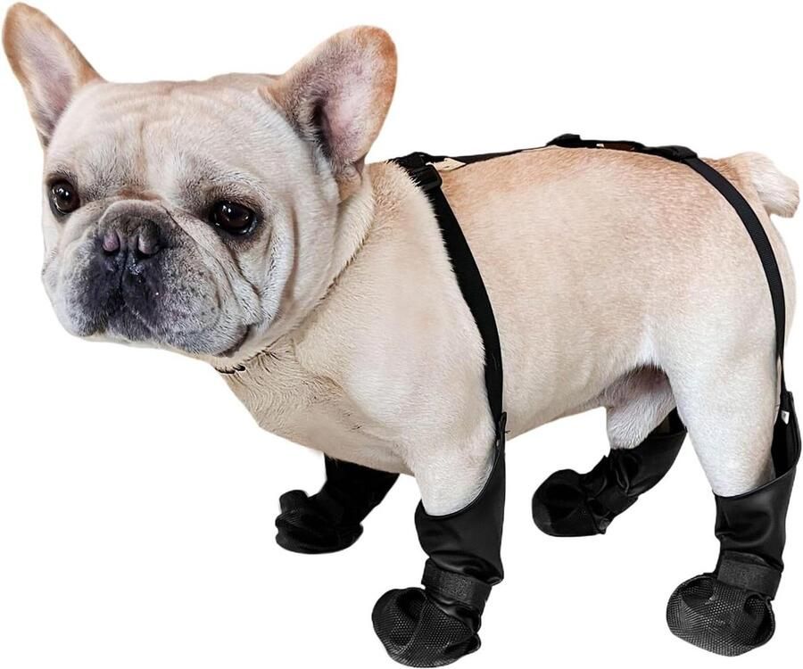 Hondenschoenen Laarsjes Pootbeschermers Honden Uitlaten Vuilafstotende Structuur Unisex Niet gespecificeerd
