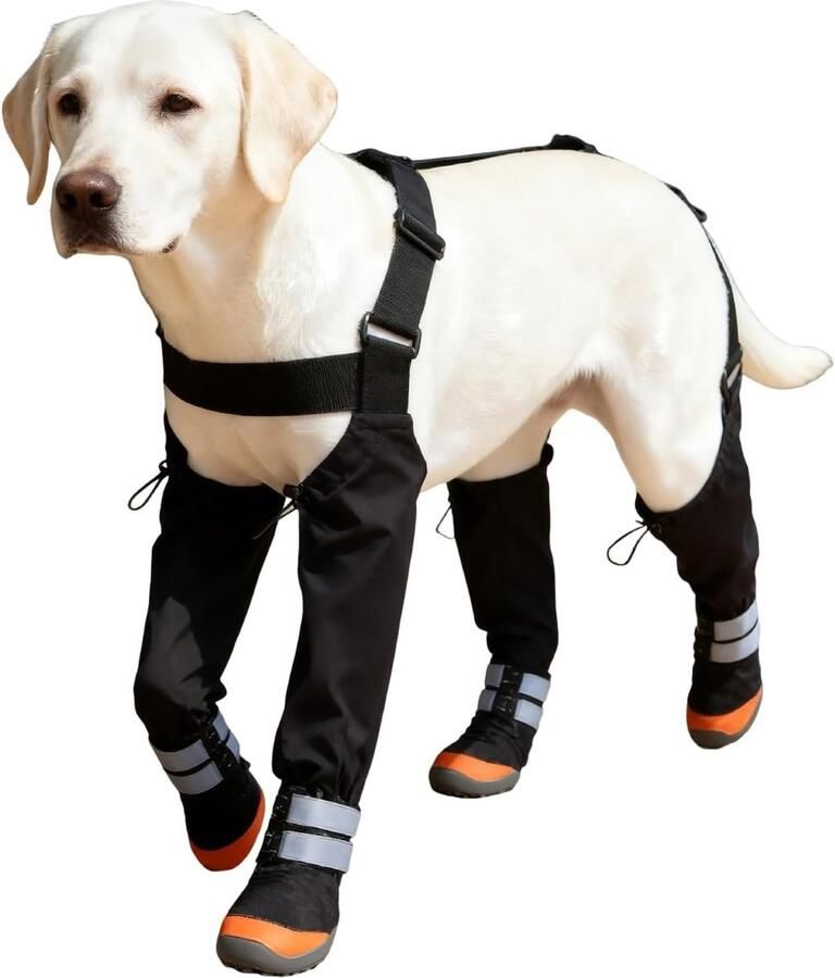 Honden Laarzen Potenbeschermers Buiten Wandelen Reflecterende Strips Maat M Zwart