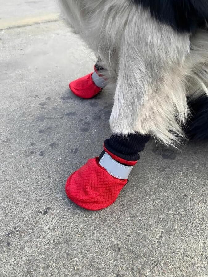 Hondenlaarzen Pootbeschermers Bescherming Buiten Waterafstotend Bovenwerk Maat Medium Rood