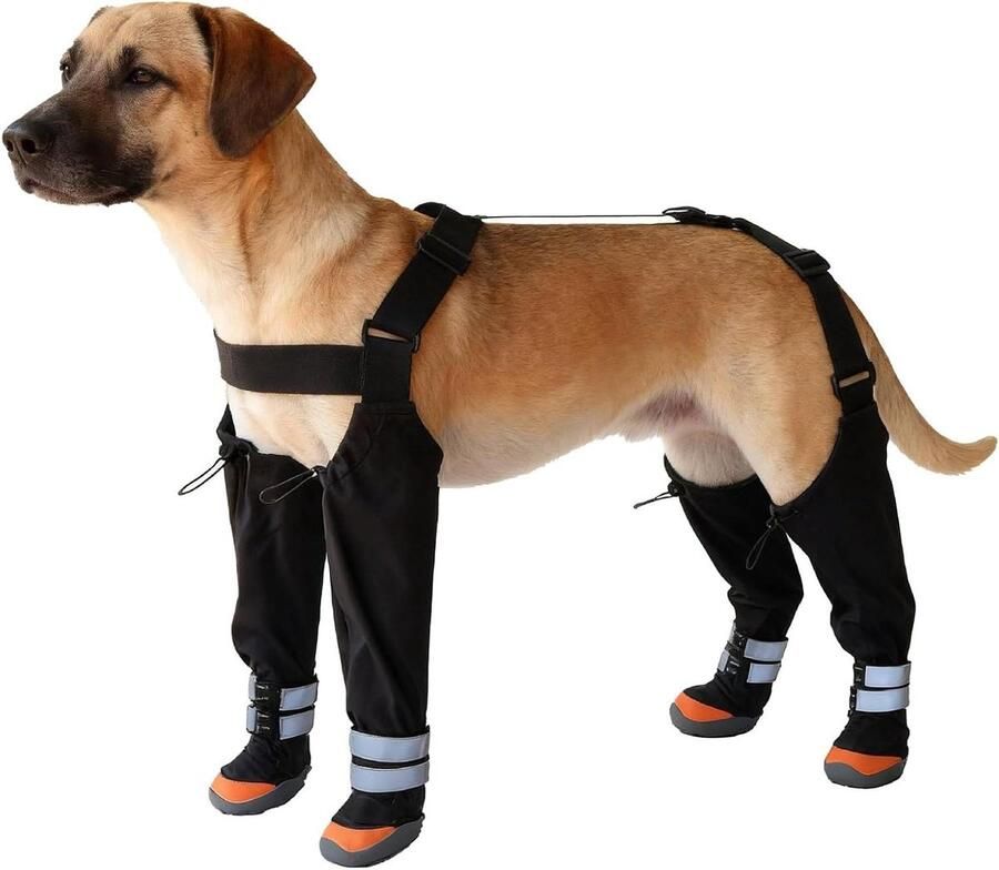Hondenlaarzen Pootbeschermers Waterdichte Schoenen Outdoor Bescherming Reflecterende Strips Verstelbaar Zwart