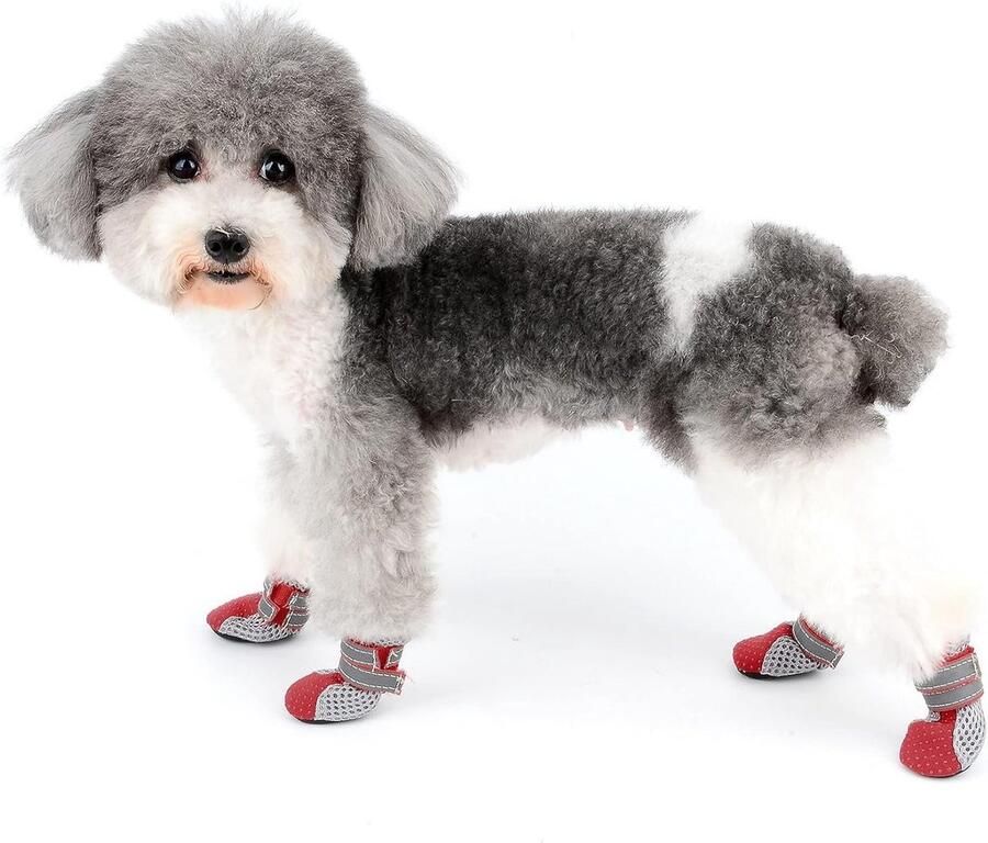 Hondenlaarzen voor Kleine Honden Ade d Antislip en Verstelbaar Zomer Bescherming tegen Hitte en Verharding