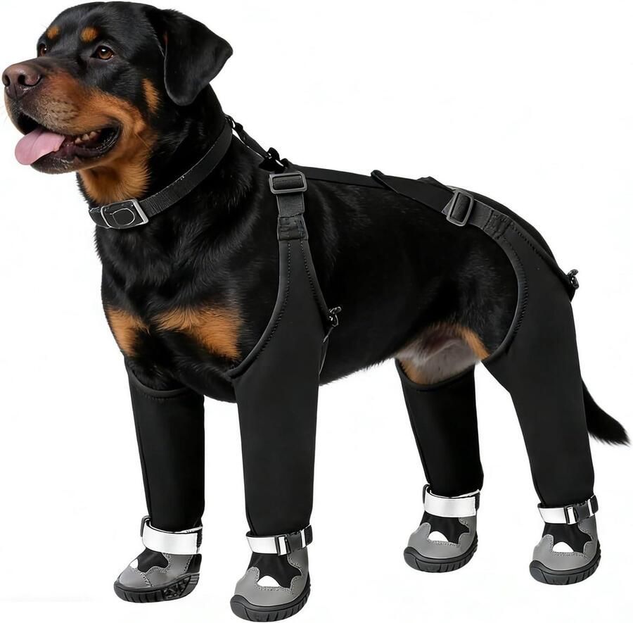 Hondenschoenen Hondenlaarzen Potenbeschermers Buitenwandelingen Bescher Waterdicht Ade d Antislip XL Zwart