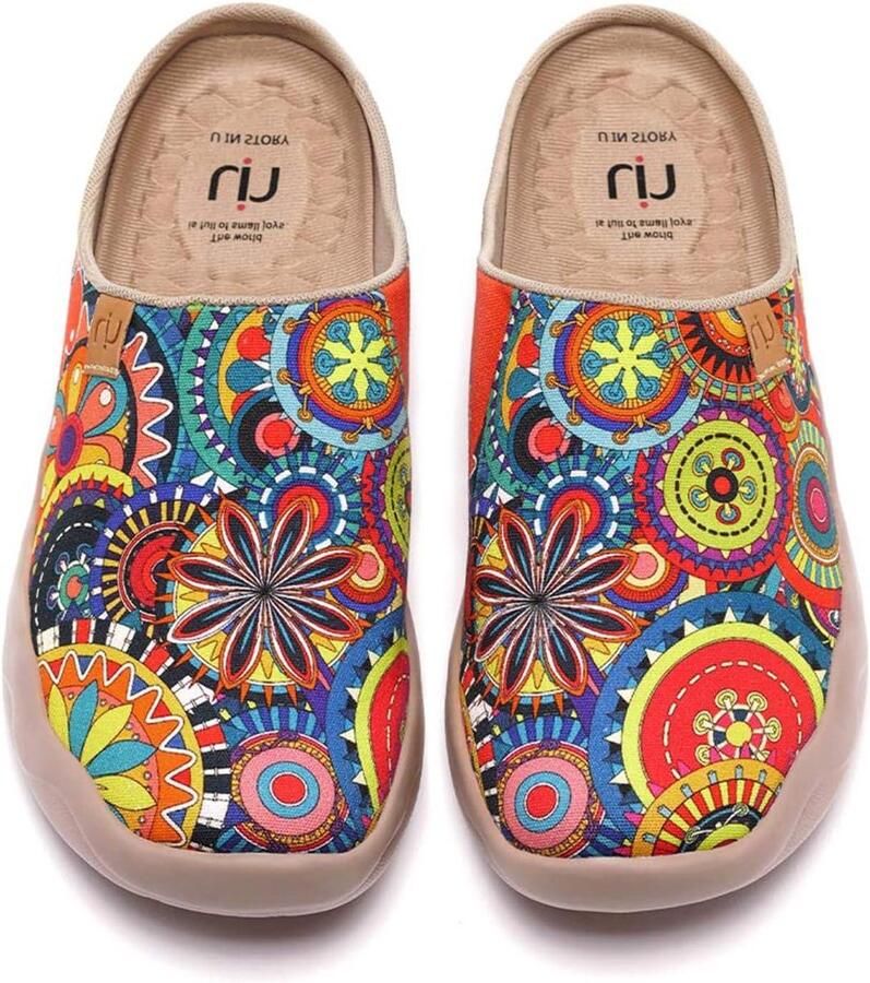 Kleurrijke Slippers Instappers Reizen Uniek Paisley Patroon 31 x 21 x Multicolor