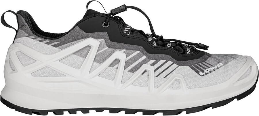 Lage Wandelschoenen en Lichtgewicht Snelwandelen GTX Waterdicht