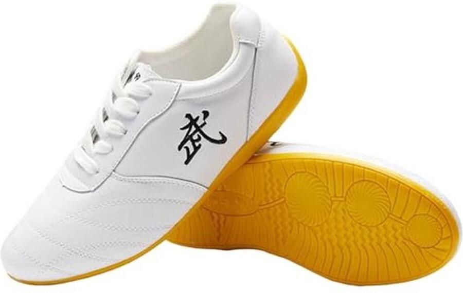 Lichte en ade de Taichi- en Taekwondoschoenen voor kinderen en volwassenen